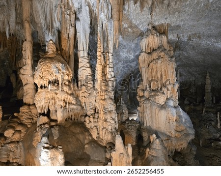 A large subterranean limestone karst cave in Postojna, Slovenia, with installed lights, an underground train, and large halls and a path for visitors between