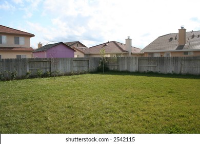 Large Suburban Backyard