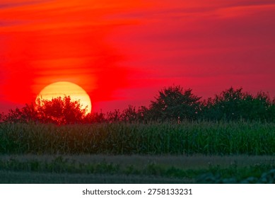 A large sun sets behind trees over a green field, casting a vibrant red and orange glow across the sky in this peaceful natural landscape scene.