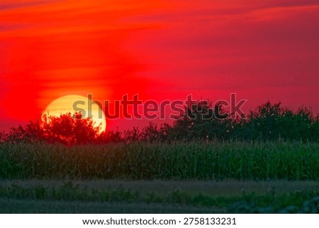 A large sun sets behind trees over a green field, casting a vibrant red and orange glow across the sky in this peaceful natural landscape scene.