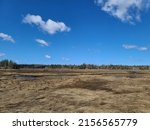 A large swamp area under a mostly clear blue sky.