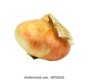 Large Sweet Onion Angle