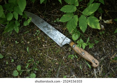 A large table knife is lying on the ground.The weapon of the crime is lying in the grass on the street.Discovery of evidence.