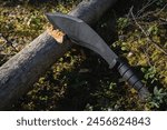 A large tactical kukri knife is stuck into a dry fallen tree in the forest. 