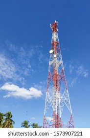 The large telephone signal pole transmission tower below has coconut trees, Sky background