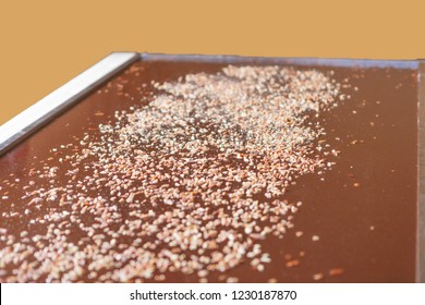 Large Tray Of Fudge With Chopped Nuts