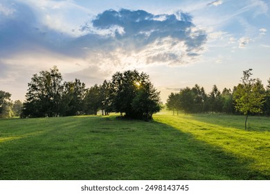 A large tree casts a shadow on the grass. The sky is cloudy and the sun is setting
