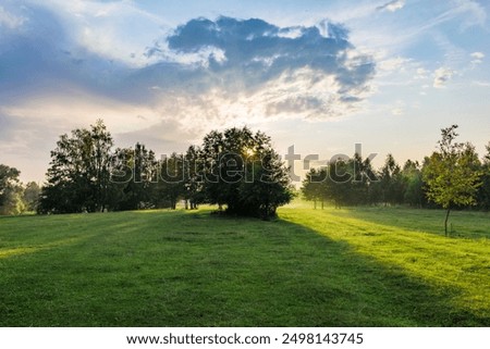 A large tree casts a shadow on the grass. The sky is cloudy and the sun is setting