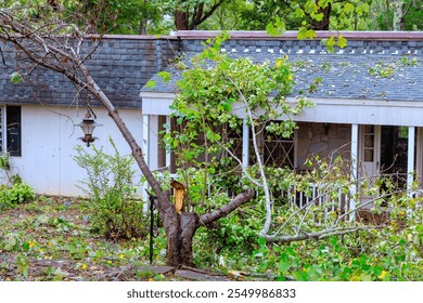 Large tree has fallen on house, damaging roof obstructing entrance in suburban neighborhood after recent hurricane storm.