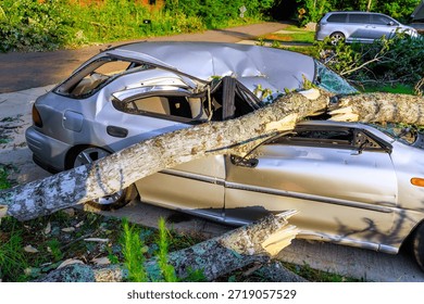 Large tree has fallen on parked car, damaging roof, blocking part of road in neighborhood.