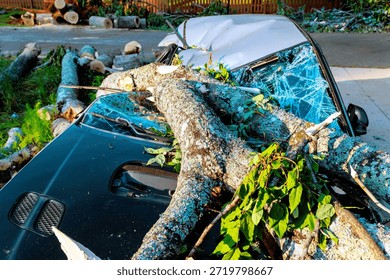 Large tree has fallen on car after storm, damaging roof, windshield in neighborhood.