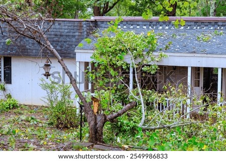 Large tree has fallen on house, damaging roof obstructing entrance in suburban neighborhood after recent hurricane storm.