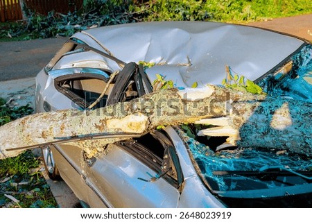 Large tree has fallen on parked car after storm, leaving significant damage to vehicle surrounding area.