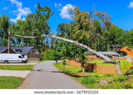 Large tree has fallen on road, disrupting traffic in this quiet neighborhood.