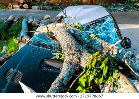 Large tree has fallen on car after storm, damaging roof, windshield in neighborhood.