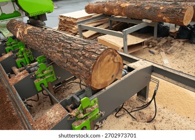 Large tree log is automatically quickly and accurately cut at a modern sawmill. Industry