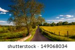 Large tree on a road through farmfields and rolling hills in Antietam National Battlefield, Maryland.
