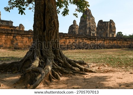 A large tree sits in front of Pre Rup temple, Canada