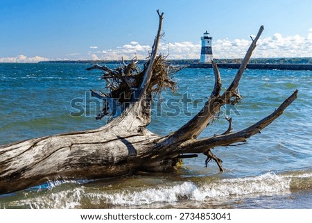 A large tree trunk and branches frame the Presque Isle North Pierhead Lighthouse, Presque Isle State Park, Erie, PA