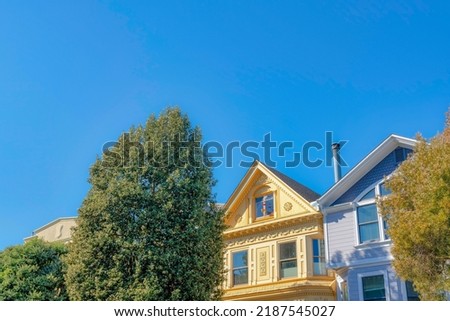 Large trees outside the yellow and purple houses in San Francisco, California. There is a yellow house on the left with decorative dentils and sunburst near the purple house with decorative shingles.