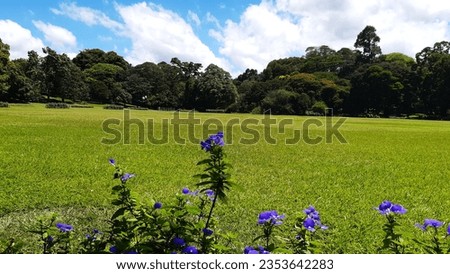 
Large trimmed green grass gound with beautiful cloudy blue sky 