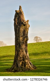 Large trunk of an old dead tree and the beautiful landscape in rural England.