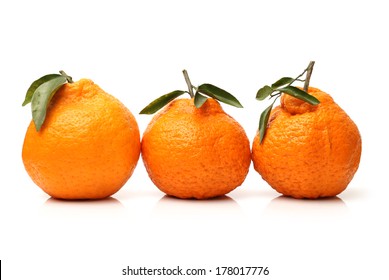 Large Ugly Fruit On A White Background 