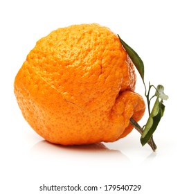 Large Ugly Fruit On A White Background