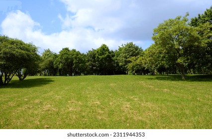 A large undeveloped plot of land on a hill with freshly cut grass