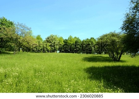 A large undeveloped plot of land on a hill