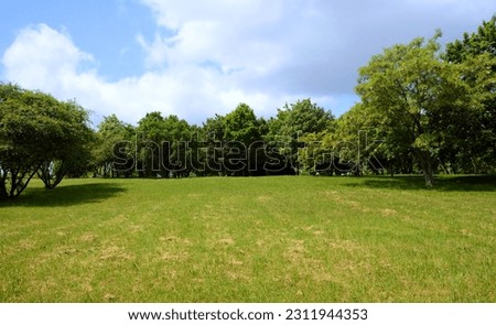 A large undeveloped plot of land on a hill with freshly cut grass