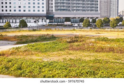 Large vacant land in the city