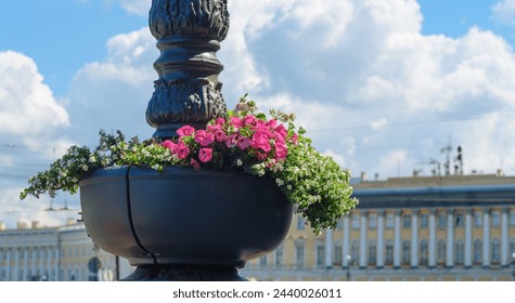 A large vase with bright flowers decorate the street of the city. Ornamental plants blooming in summer in an urban environment. Landscape design of beautiful flowers in pots decorating the city.