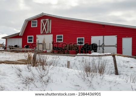 A large vibrant red vintage barn with multiple white wood doors, glass windows, and a second floor hay loft. There are horses and a pony outside in a snow covered animal pen and yard. 