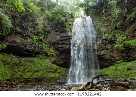 Large Waterfall Front Cave Middle Forest Stock Photo Edit Now