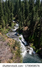 Large waterfall in pine forest viewed from above