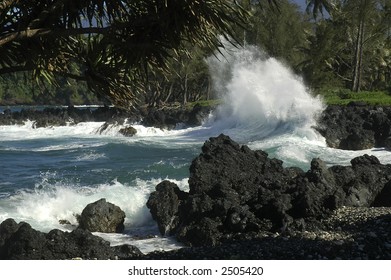 Large wave crashing against black lava rock on Maui coast surround by green foliage