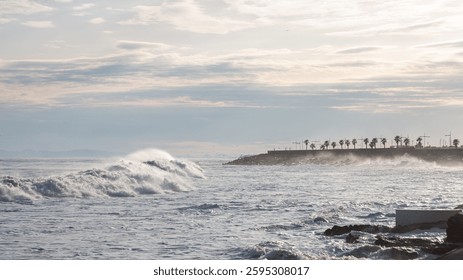 Large waves crash along a rocky shore, with a distant skyline and palm trees.  The sky is overcast, hinting at a storm