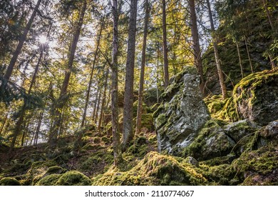 Large Weathered Granite Rock In The Shape Of A Human Head With Eyes Ears Mouth And Nose Overgrown With Moss On The Mountain Hoher Sachsen Near Grafenau In The Bavarian Forest, Germany