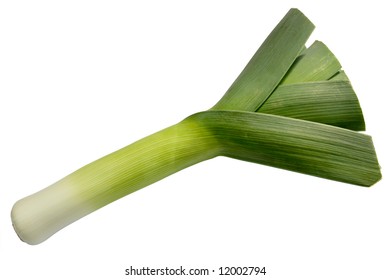 Large Welsh Leek, Isolated Over White.