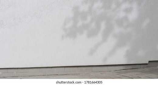 Large White Empty Concrete Wall With Black Shadow From Tree Over Street Sidewalk Outside