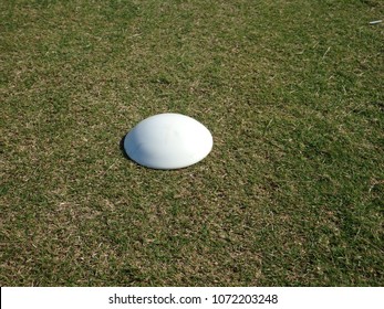 Large white smooth bumpy bubble circular marker on the green lawn