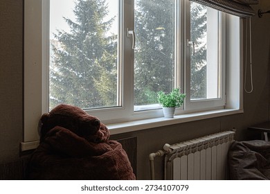 Large window with white frames shows snowy evergreens; brown plush bear near window sill, small potted plant on sill, white radiator below.