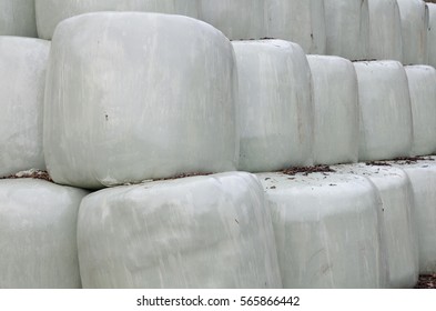 Large Wrapped Silage Bales