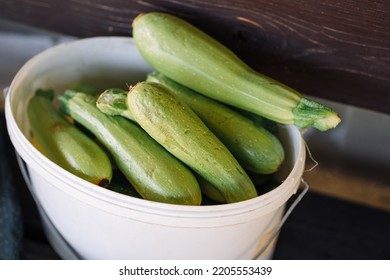 Large Zucchini In A White Bucket. Summer Vegetables Harvest Background. Farmers Product With Eco And Ripe Vegetable.