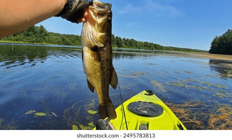 largemouth bass catch fishing from kayak