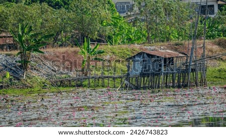 A larger fishing hut over the red lotus sea is supported on a multitude of bamboo supports and accessible by an attached bamboo walkway.