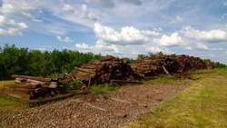 Larger Piles Of Stacked Used Wooden Railway Sleepers. Wooden Sleepers Are Better Than Other Railway Sleepers At Absorbing The Pressure Generated By Running The Train And Are Less Likely To Break.