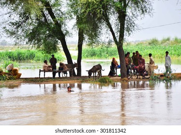 LARKANA, PAKISTAN - JUL 31: Flood hit Burira village located in suburbs nearby delta of river Indus, on July 31, 2015 in Larkana. Flood affected people of Burira village have shifted to safe places.