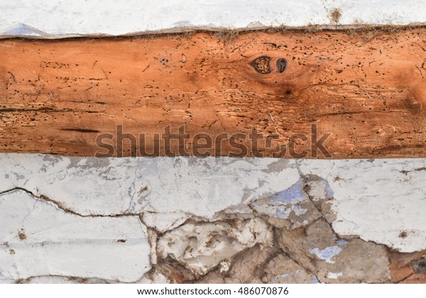 Larvae Woodworm Ceiling Beams Stock Photo Edit Now 486070876